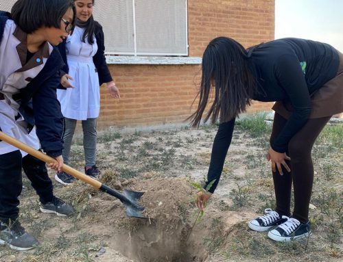 El Programa Plantando Futuro, celebro el Dia Nacional del Árbol en la Esc. N 1243 Villa del Carmen